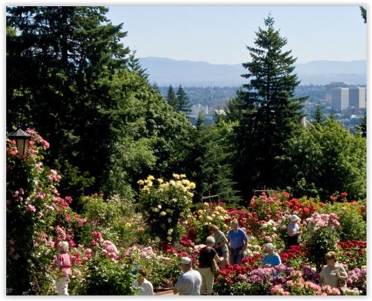 Portland 